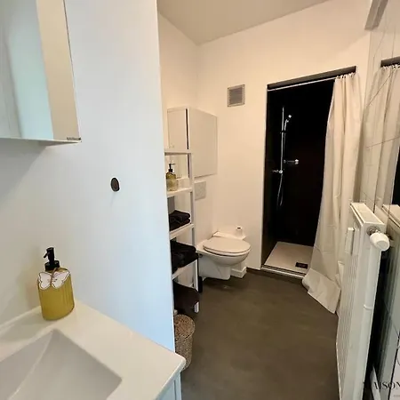 Le Panoramique Des Carmes - Vue Cathedrale