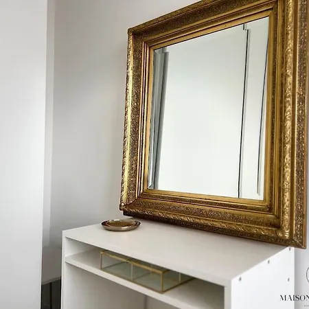 Le Panoramique Des Carmes - Vue Cathedrale