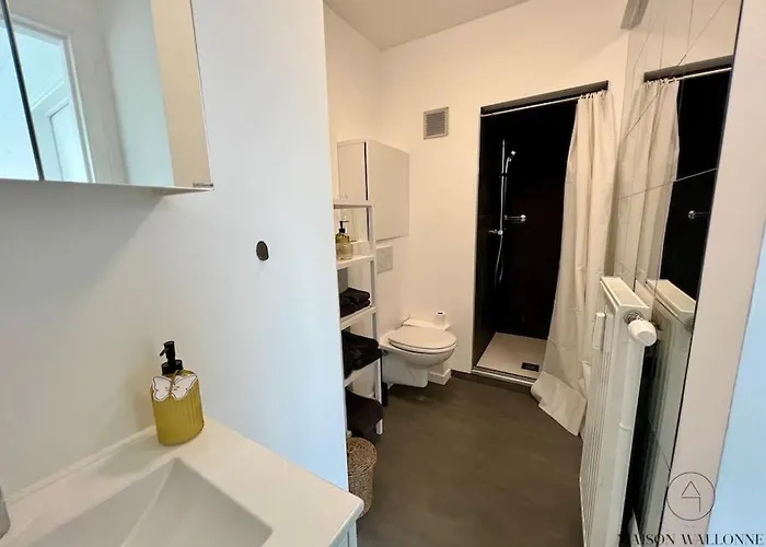 Le Panoramique Des Carmes - Vue Cathedrale