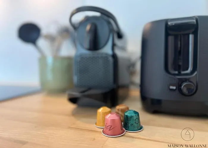 Le Panoramique Des Carmes - Vue Cathedrale