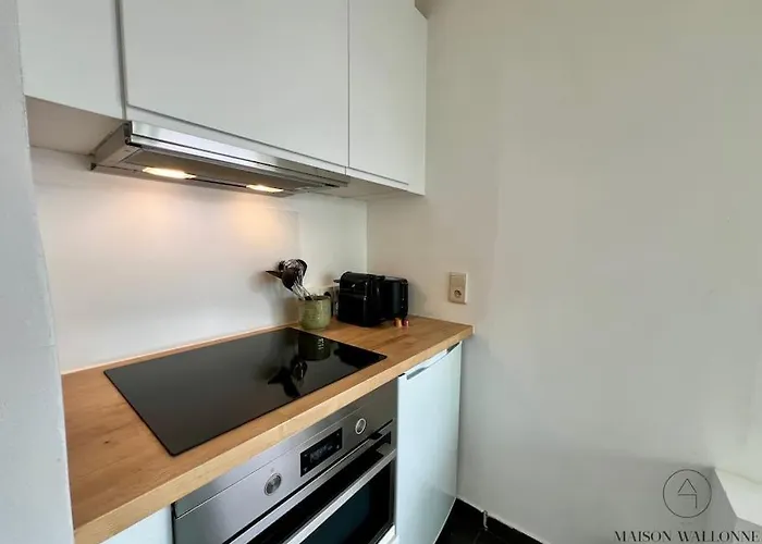 Le Panoramique Des Carmes - Vue Cathedrale Lägenhet *